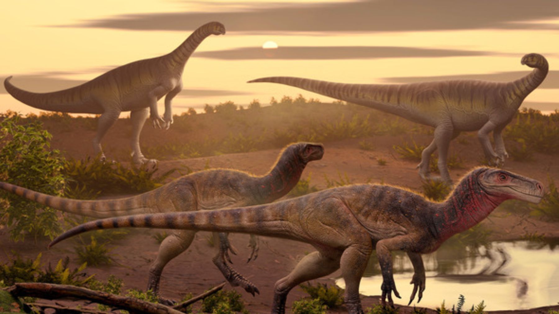 Reconstrucción en vida de Maleriraptor kuttyi. Foto: Márcio L. Castro.